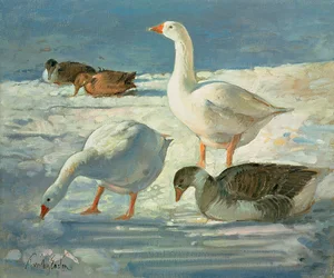Oies et colverts, 2000
